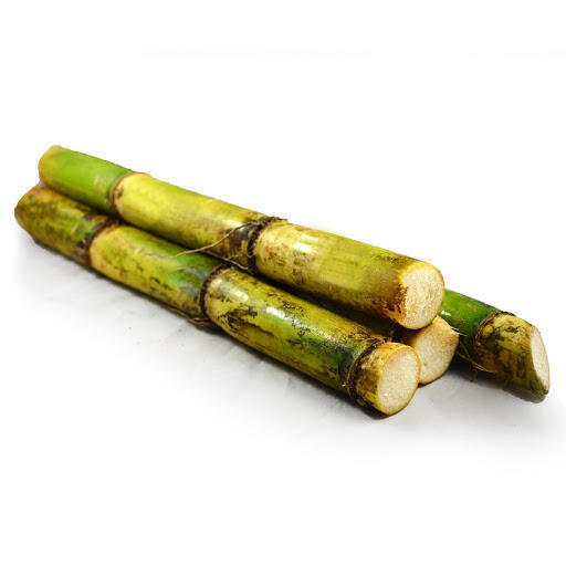 Vietnam frozen sugar cane 100% natural with best price MARY