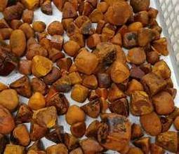 Top Sale Ox Gallstones Cattle Gallstones Cow Gallstones