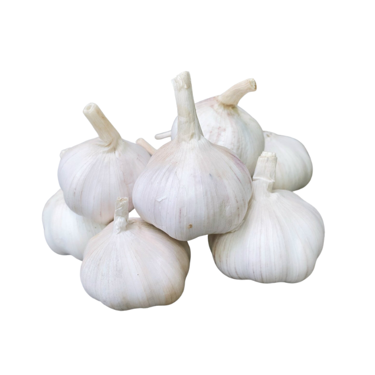 Best Quality new crop fresh garlic original supplier full dried goods wholesale price garlic in stock