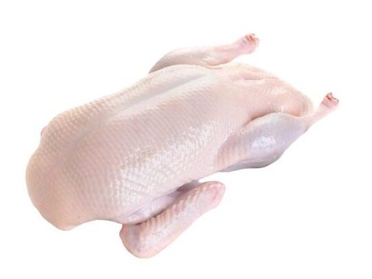 Top High  Quality Frozen Duck Meat For Sales