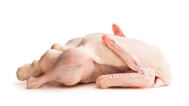 Top High  Quality Frozen Duck Meat For Sales