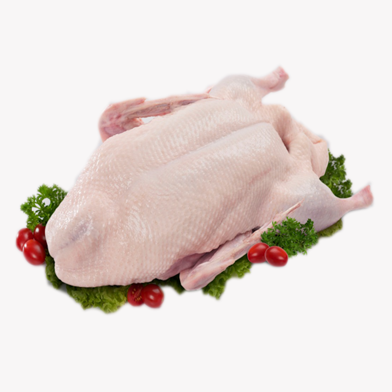 Top High  Quality Frozen Duck Meat For Sales