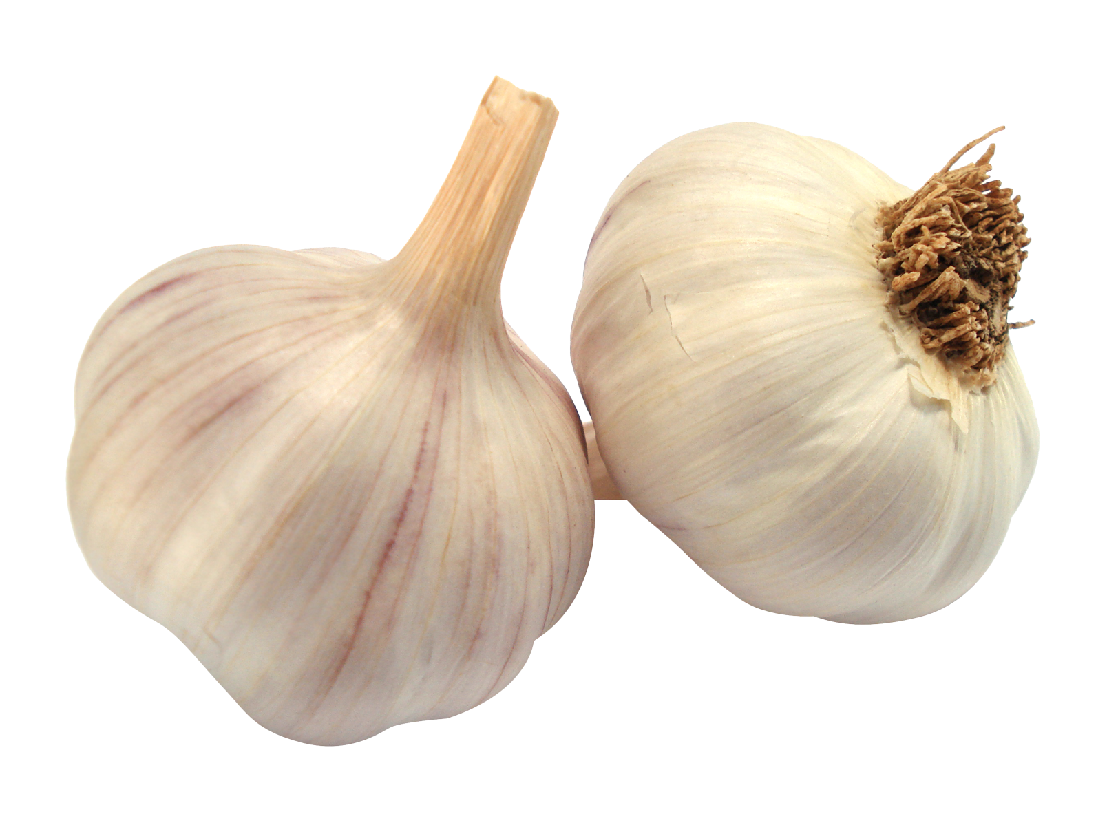 Quality Fresh Red Garlic and White Garlic