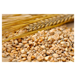 Best Selling Grain Products Instant Breakfast Cereal Blood Brown Rice Oat Seeds Cereal