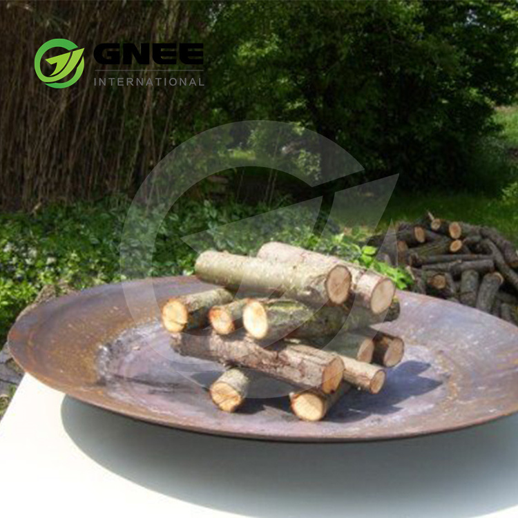 Corten Steel Gas Fireplace Outdoor Fire Pits Gas Burning Gas Fire Pit Table