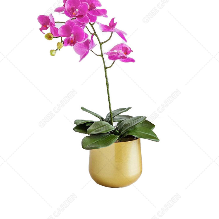 Decorative Home Office Plant Pots  Planters Indoor and Outdoor Modern Plating Gold Flower Pots with Drainage Hole