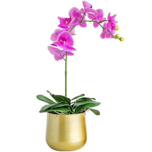 Decorative Home Office Plant Pots  Planters Indoor and Outdoor Modern Plating Gold Flower Pots with Drainage Hole