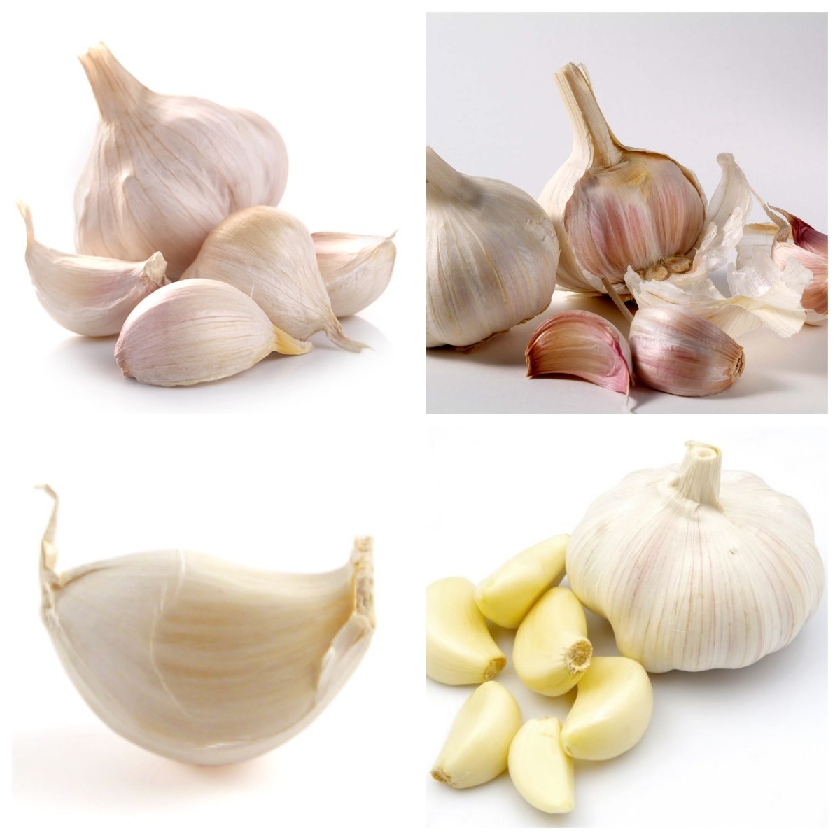 High Quality New Crop Fresh Garlic Original Supplier Full Dried Goods Wholesale Price Garlic