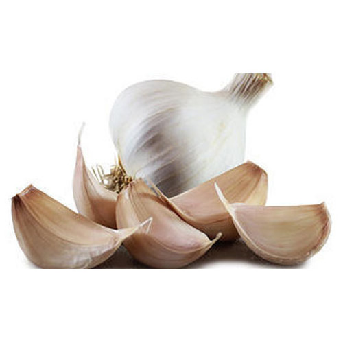 High Quality New Crop Fresh Garlic Original Supplier Full Dried Goods Wholesale Price Garlic