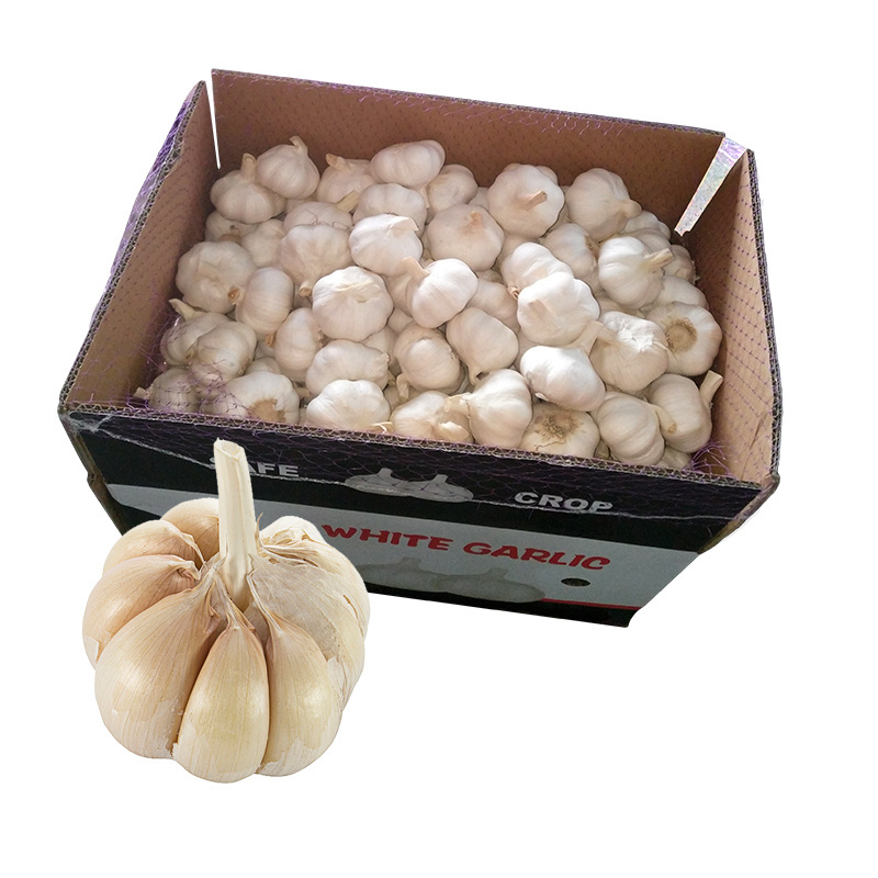 Good Quality Garlic Used As A Seasoning For Dishes 100% Dried Garlic Organic Packed In Box Vietnam Manufacturer