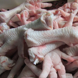 TOP QUALITY FROZEN CHICKEN FEET FOR SALE WORLDWIDE