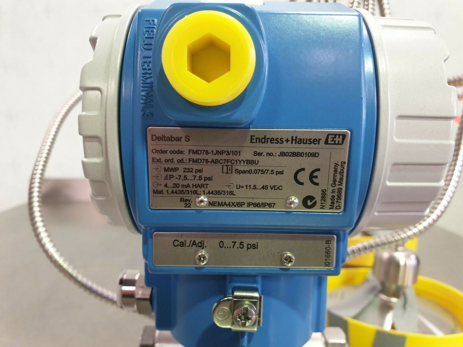 Endress+Hauser FMD78  differential pressure  transmitter with two diaphragm seals