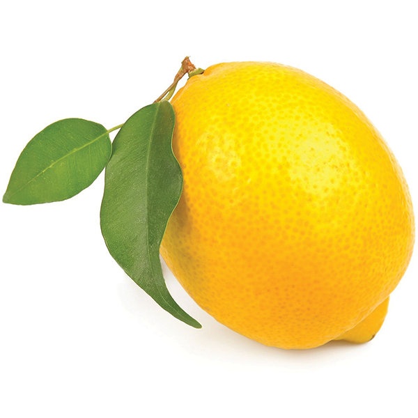 Wholesales Fresh Lemon Eureka Lemon Citrus Fruits Lemon For Sale