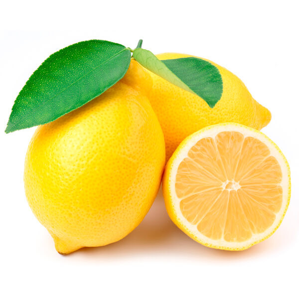 Wholesale Fresh Citrus Fruit Premium 100% Maturity Green Sour Taste Fresh Seedless Lemon Lime For Beverages Juice Drinks