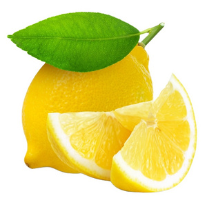 Wholesales Fresh Lemon Eureka Lemon Citrus Fruits Lemon For Sale