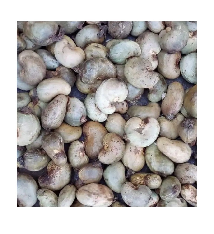 Best Price High-Quality Raw Cashew Nuts Salted Roasted Cashew Full Organic Guaranteed Superior Quality