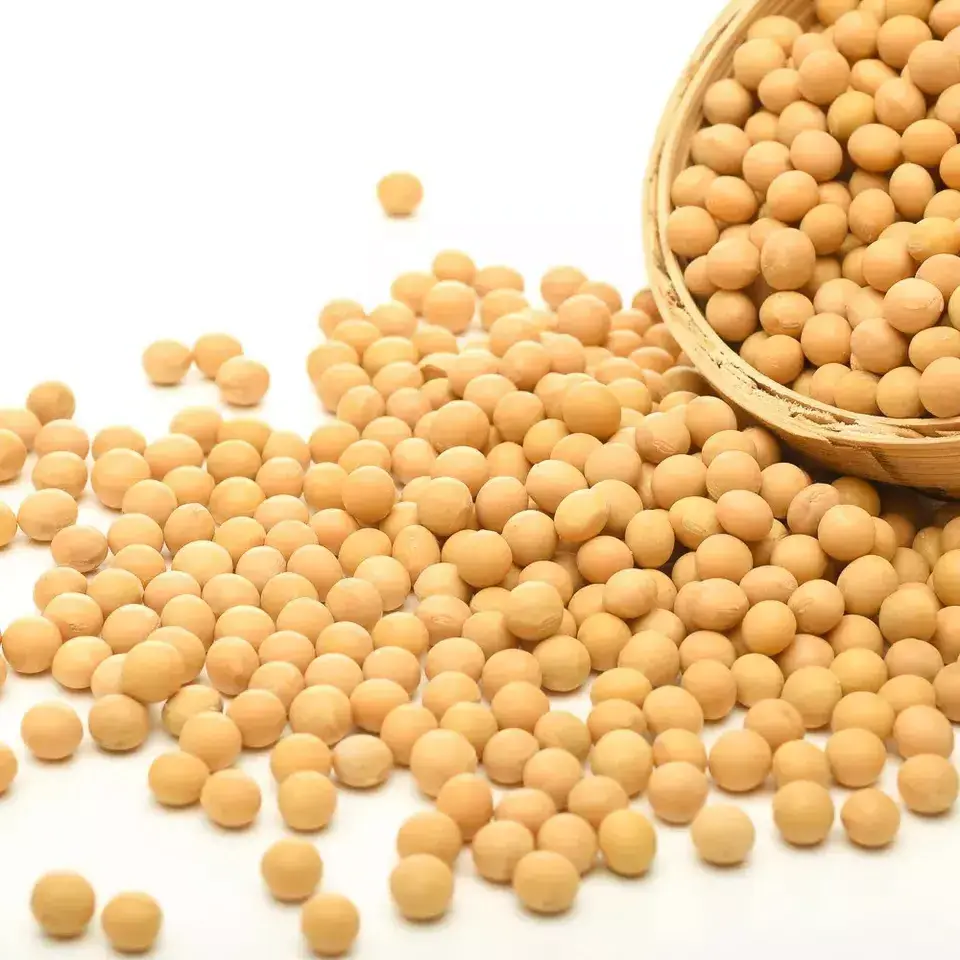 Good Quality NON GMO Soya Beans for Sale Yellow Soybeans/ Bulk Supply Soybeans For Soybean Meal New Product Non Gmo