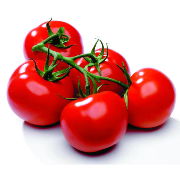 2021 Best Price Wholesale Fresh Tomatoes / Newest Crop Fresh Tomatoes For Export