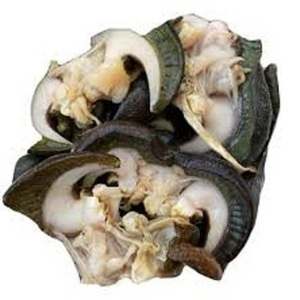 Top Healthy Dried / Fresh/ Frozen Snails And Giant Snails For Export Available Now