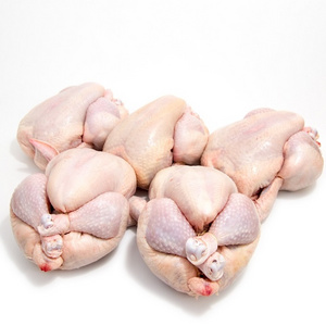 Wholesales Best Quality Halal Frozen Whole Chicken For Sale affordable prices