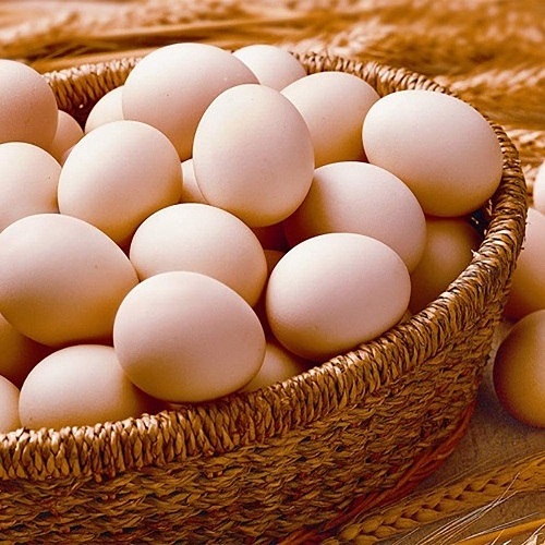 Farm Fresh Chicken Table Eggs Brown and White Shell for in Canada, Europe and USA and African market