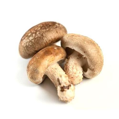 Wholesale High Quality Dried Forest Mushroom Dried Shiitake Mushroom