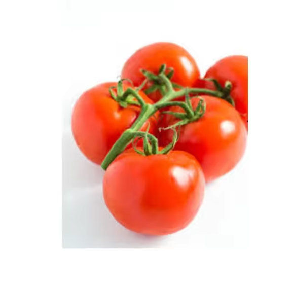 2021 Best Price Wholesale Fresh Tomatoes / Newest Crop Fresh Tomatoes For Export