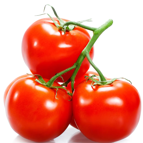 2021 Best Price Wholesale Fresh Tomatoes / Newest Crop Fresh Tomatoes For Export