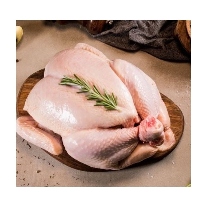 Cheapest Supplier Of Bulk Frozen Whole Chicken / Frozen Chicken For Sale