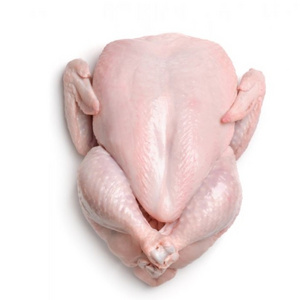 Lowest Price Frozen Whole Chicken  Available Now for Export at Wholesale Legs From United State For Sale