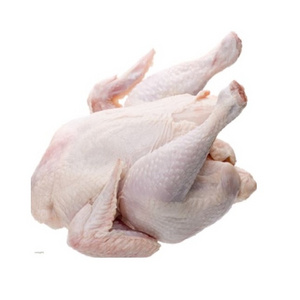 Cheapest Supplier Of Bulk Frozen Whole Chicken / Frozen Chicken For Sale