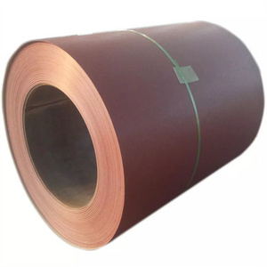 Factory customized various colors at low price color prepainted galvanized steel coil for roll