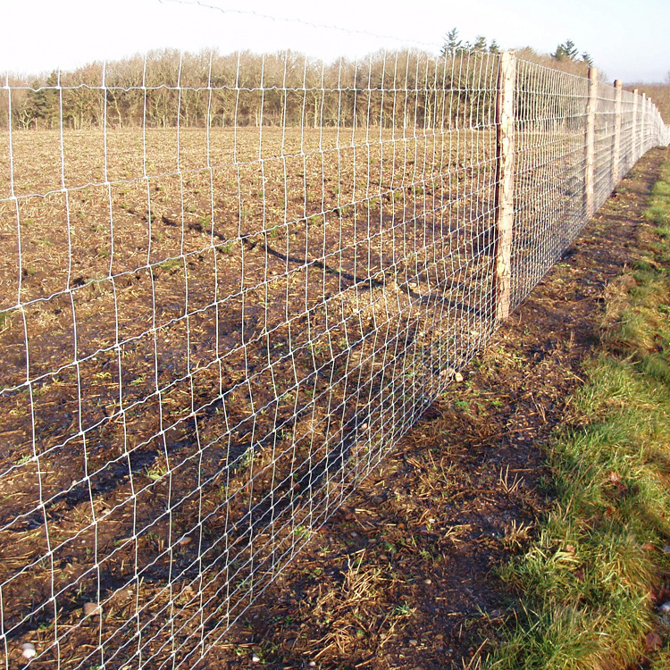 thailand field fence price 9holes 3ft 5ft philippines galvanized hog wire 4ft 30yard