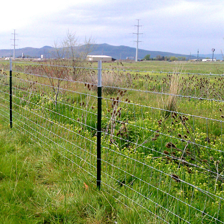 2mm Galvanized cattle fence/ Sheep fencing/ Horse woven hinge joint wire mesh fence