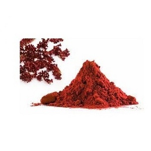 Best Price Haematococcus Pluvialis Extract Astaxanthin Powder 1%-10% Astaxanthin  supply from India