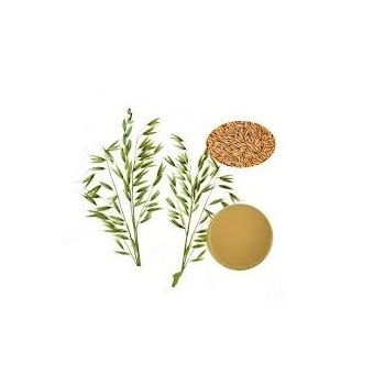 Avena Sativa Extract powder Oat Beta Glucan Oat Extract 70% 80%90% Oats Beta Glucan best quality  supply from india