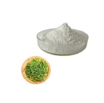 100% Natural Bamboo Leaf Extract 70% Bamboo Leaf Extract Silica Powder manufacturer  selling from India