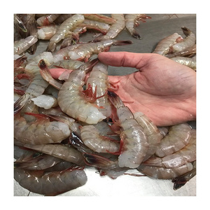 Direct Supply Sweet Frozen Fresh Shrimp/seafood/black Shrimp Tiger Prawn Frozen Shrimp Price