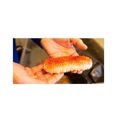 Cheapest Price sea cucumber Available Here For selling