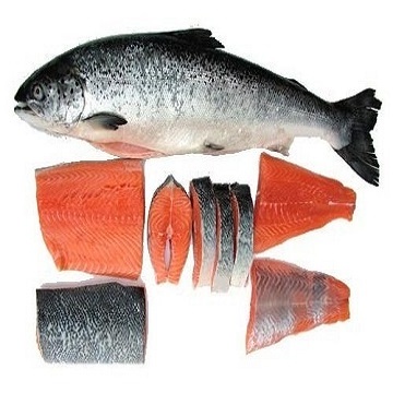 Premium Wholesale Frozen Salmon Fish / Fillet Frozen Pink Salmon Available