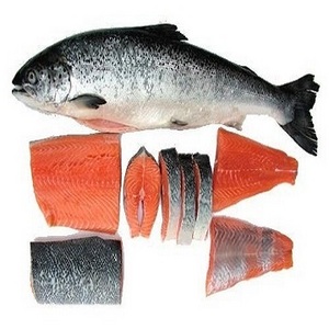 Premium Wholesale Frozen Salmon Fish / Fillet Frozen Pink Salmon Available