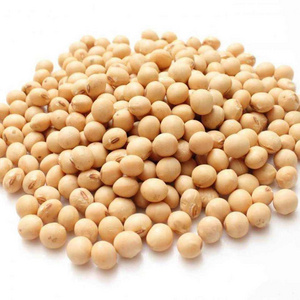 Organic Dried Soy Beans Agricultural Soya Bean Seed Vegetable Protein Food At Wholesale Price Bulk Soybean Meal