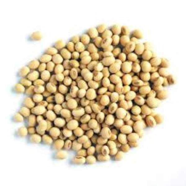 Wholesale High Quality Soybean/Soya Bean, Soybean Seeds