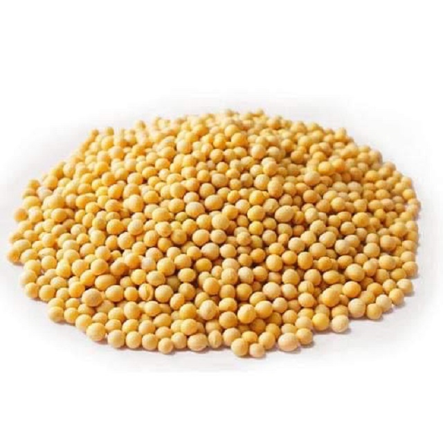 Wholesale High Quality Soybean/Soya Bean, Soybean Seeds