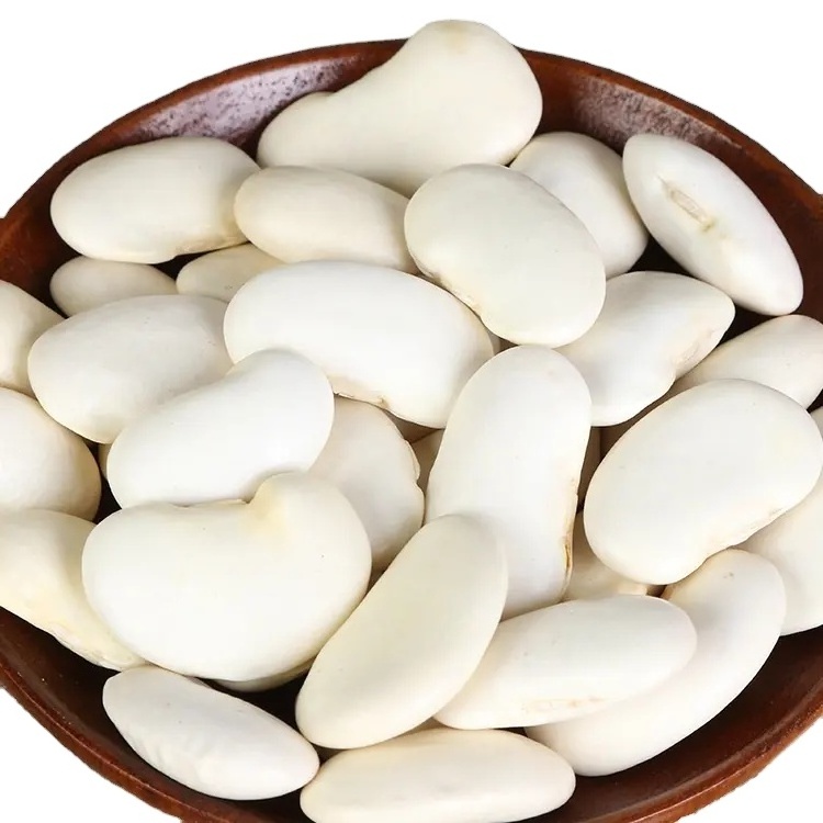 Natural White kidney Beans Seeds