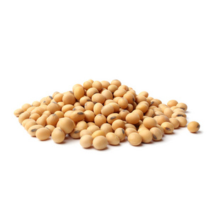 Top great Soybeans Dry Quality Soya Beans Sprouting Food Grade ready to export.