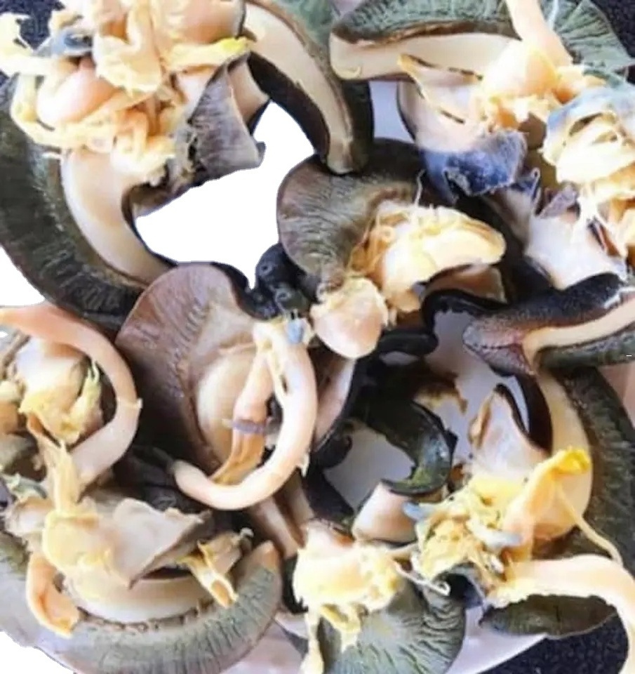 Frozen Escargot Seafood and land meat snail meat African quality