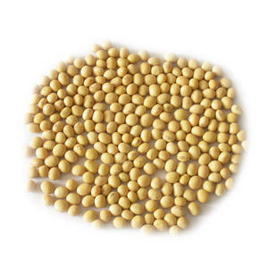 NON-GMO Soya Beans/certified organic soybeans