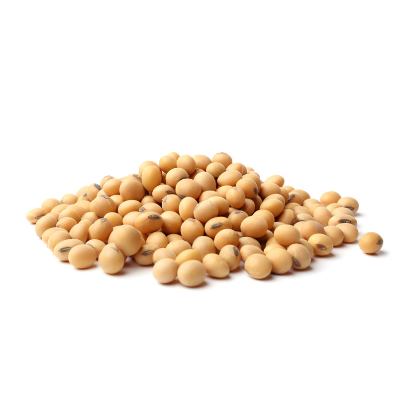 High Protein Quality Organic Soybean Meal - Soya Bean Meal for Animal Feed