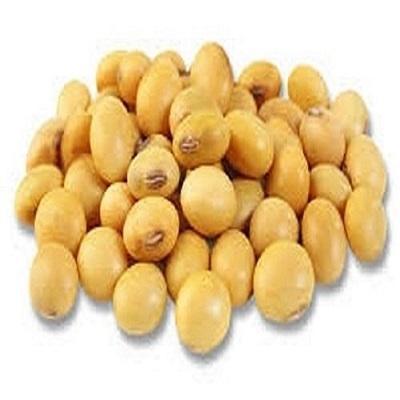 Organic Dried Soy Beans Agricultural Soya Bean Seed Vegetable Protein Food At Wholesale Price Bulk Soybean Meal